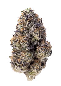 Papaya Sherbet™