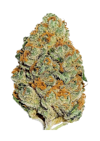 Lemon Mandarin™