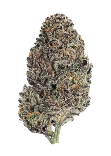 Lemon Cherry Runtz