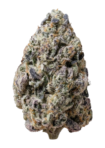 Biscotti Gelato