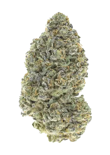 Garlic Mint Sherbet