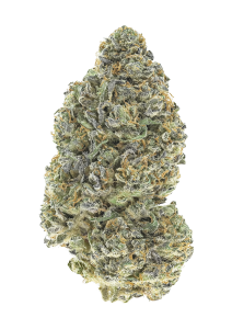 Garlic Mint Sherbet