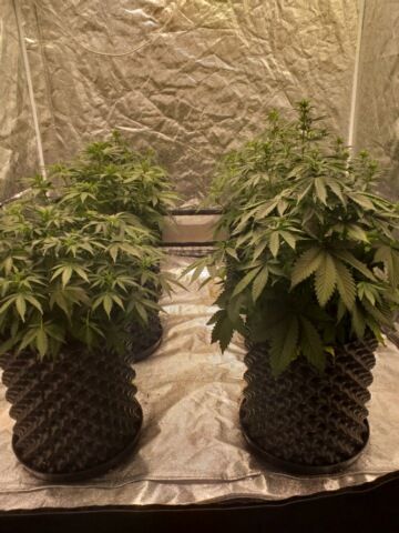 Review photo #9