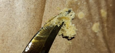 Review photo #4
