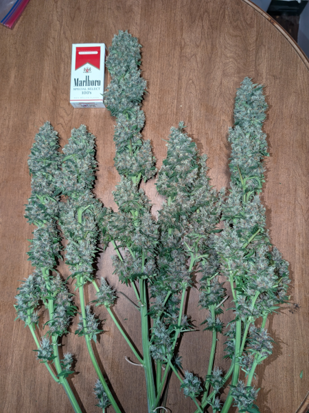 Review photo #5