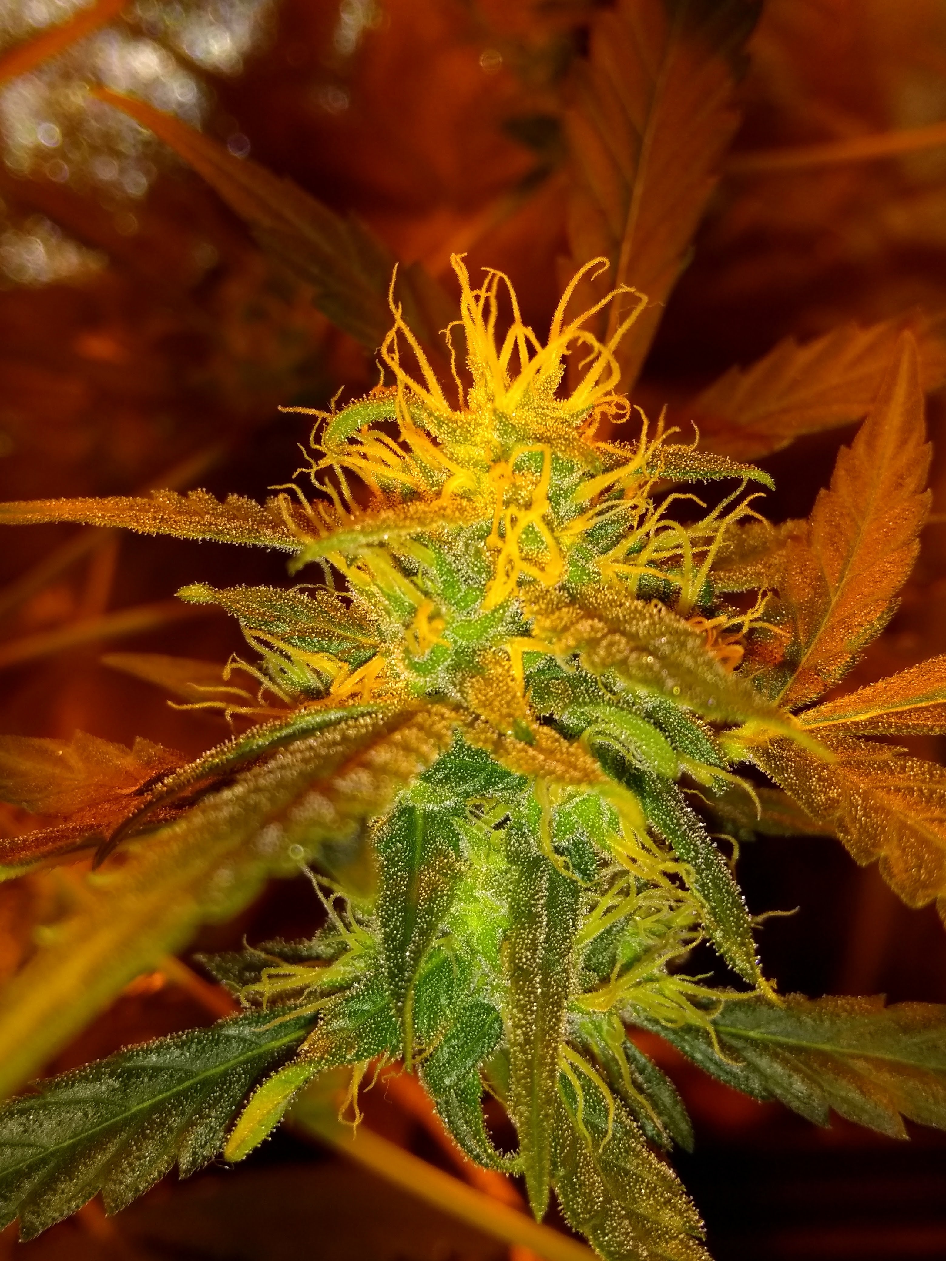 Review photo #3