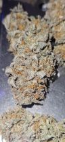 Review photo #4