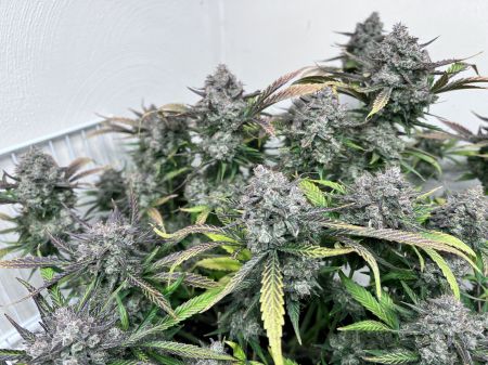 Review photo #9