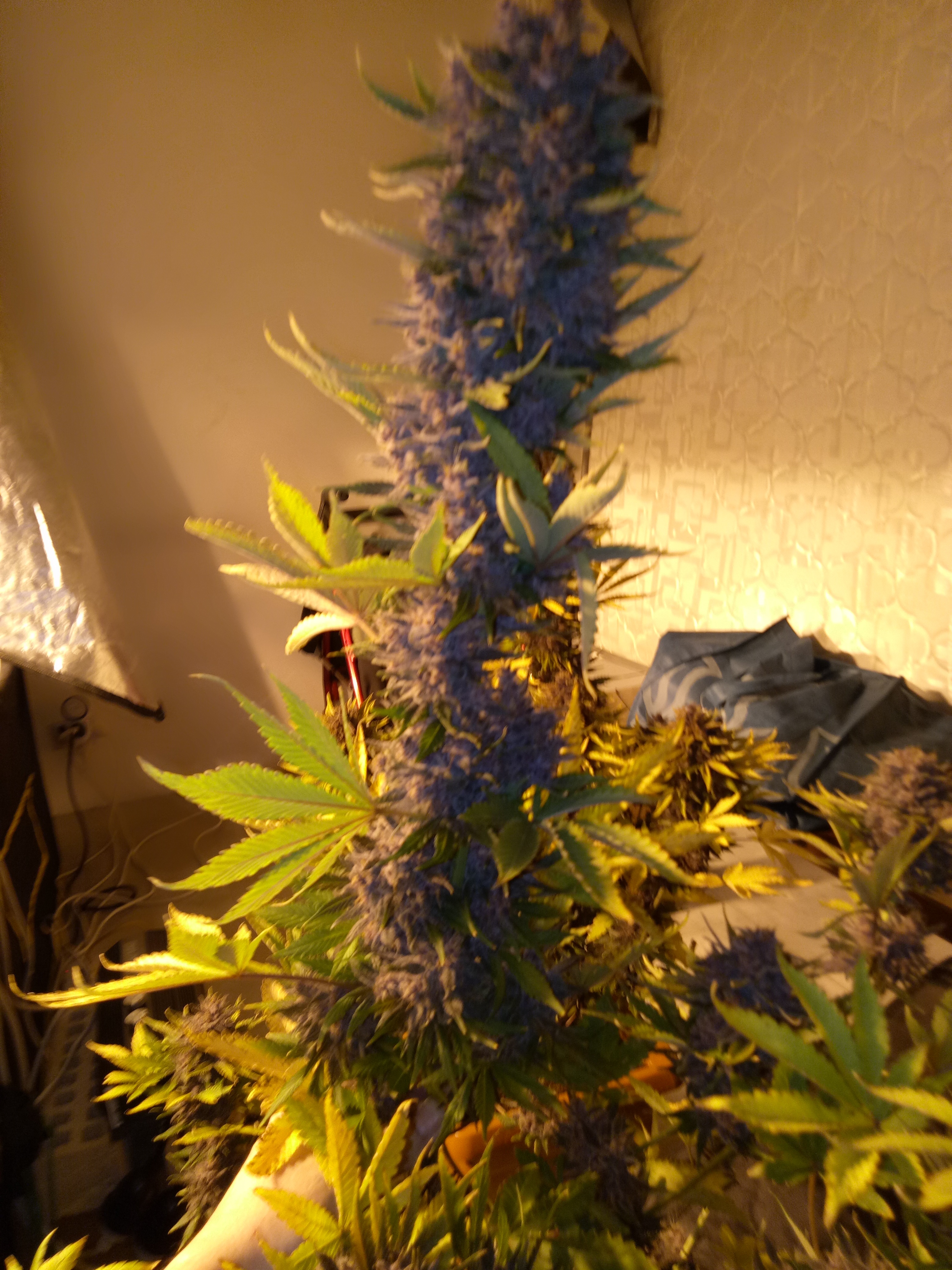 Review photo #3