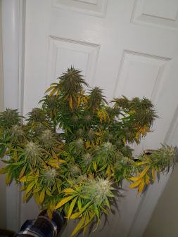 Review photo #2