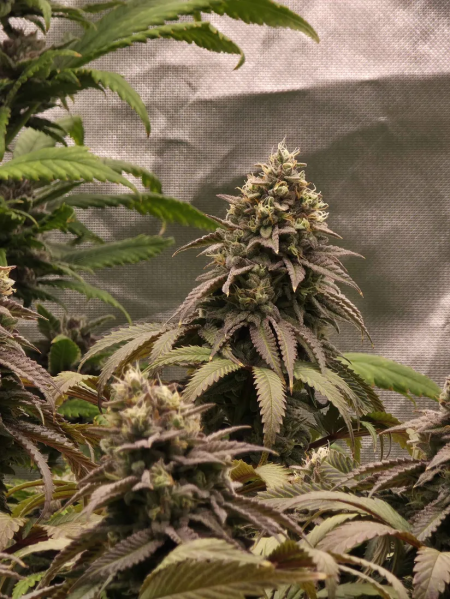 Review photo #1