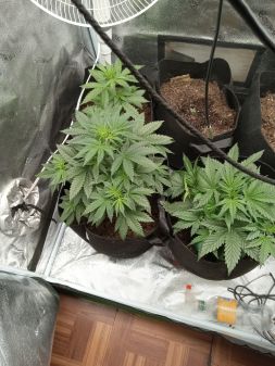 Review photo #2