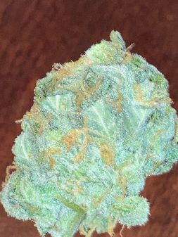 Review photo #4