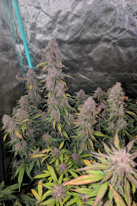 Review photo #6