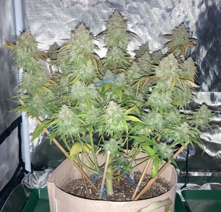 Review photo #5