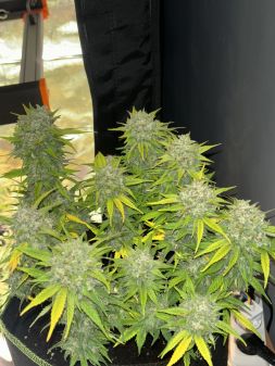 Review photo #5