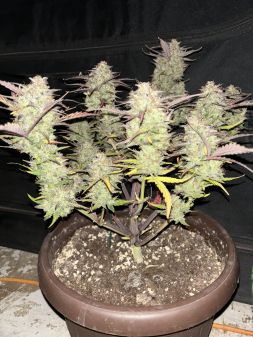 Review photo #5