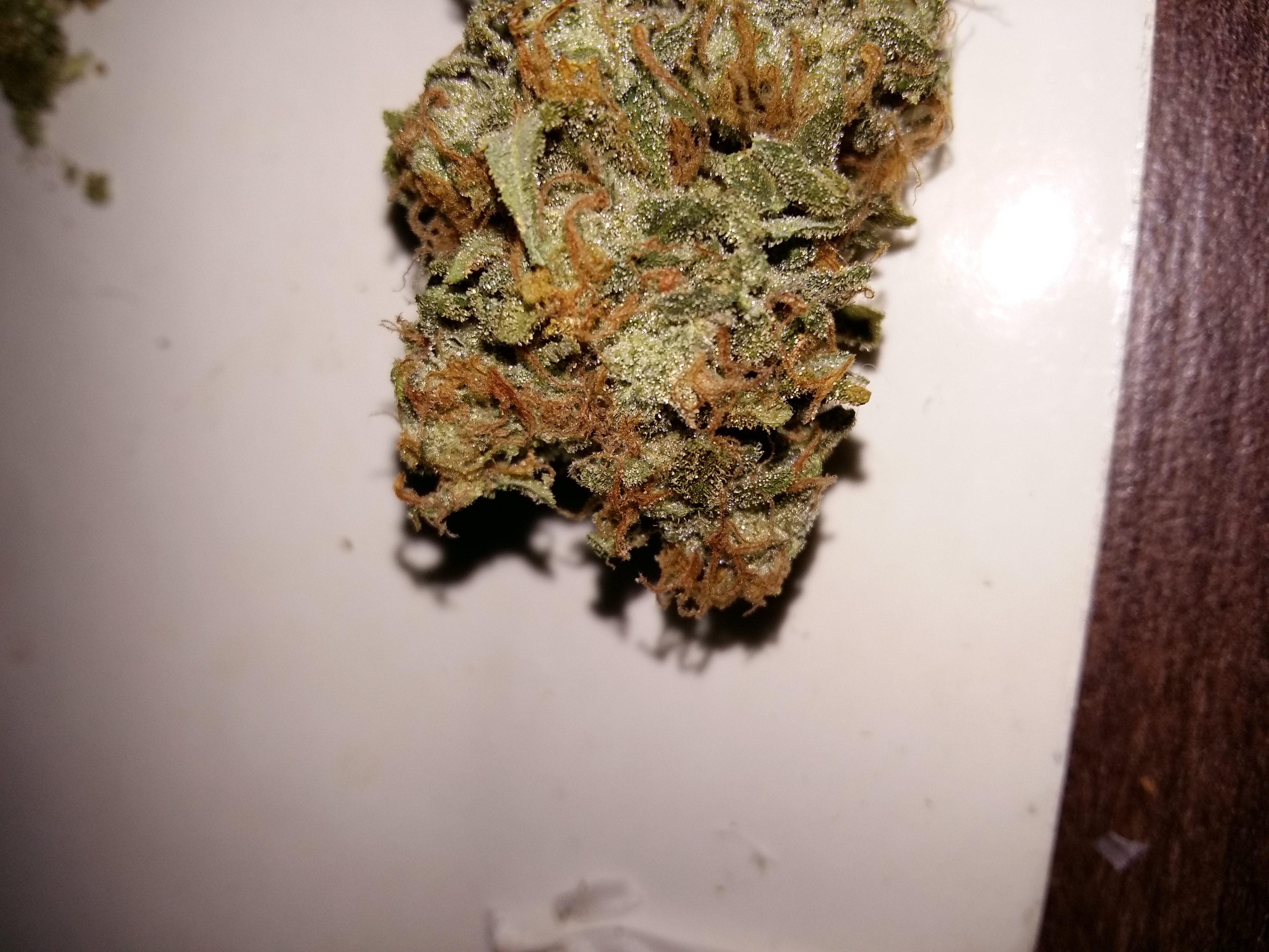 Review photo #2