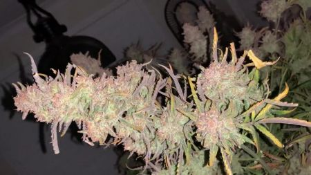 Review photo #2
