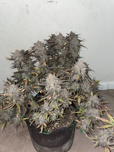 Review photo #3