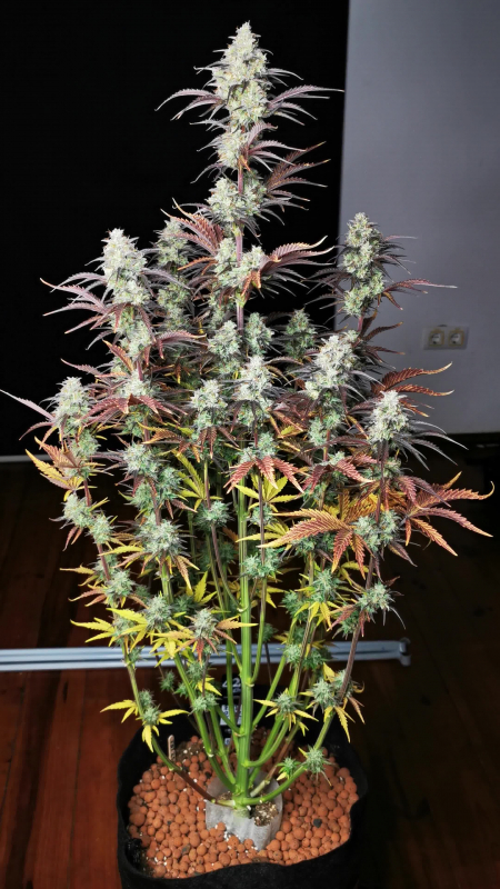 Review photo #5
