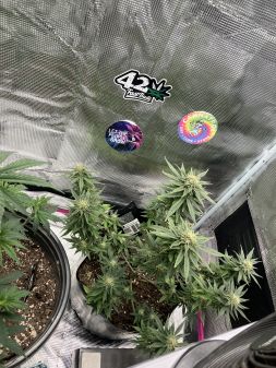 Review photo #1