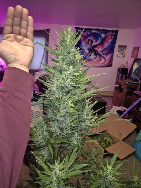Review photo #3