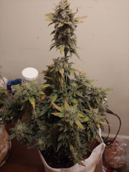 Review photo #2