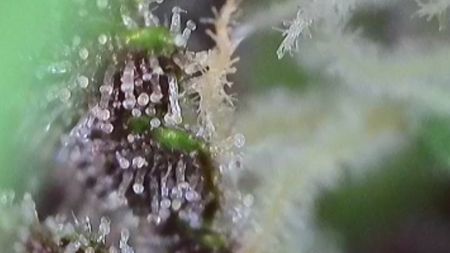 Review photo #3