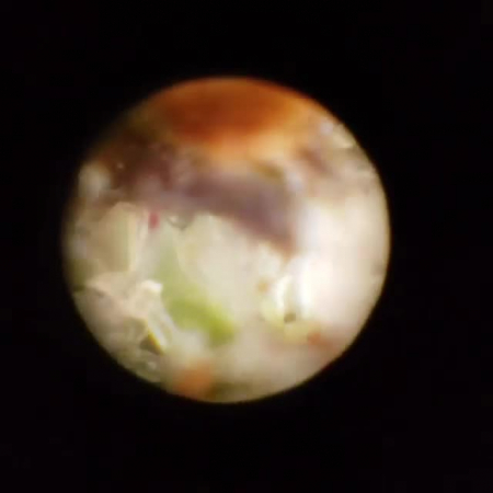Review photo #3