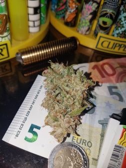 Review photo #1