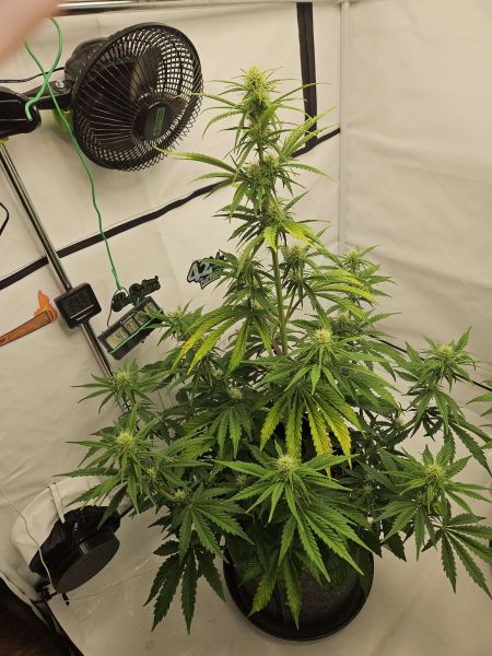 Review photo #1