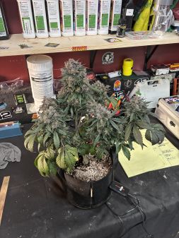 Review photo #1