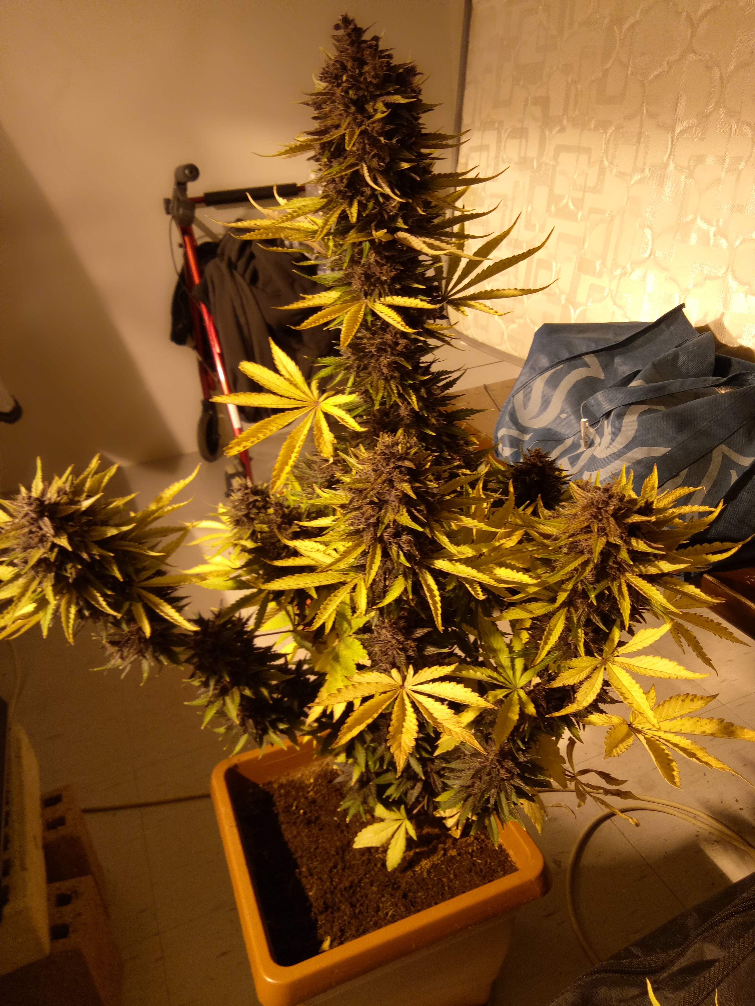 Review photo #5