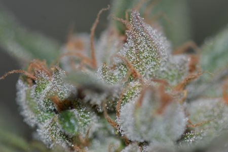 Review photo #5