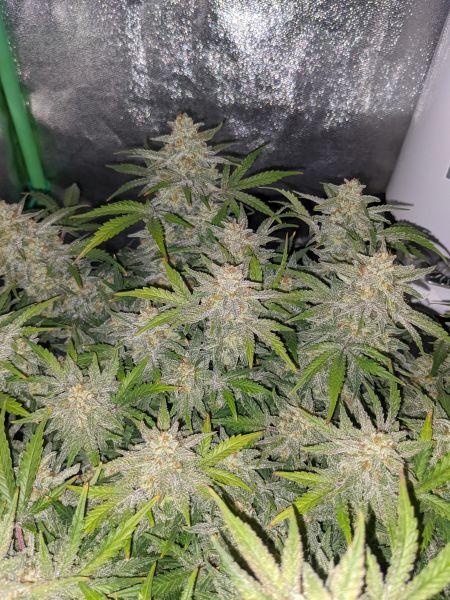 Review photo #3