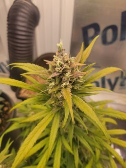 Review photo #4