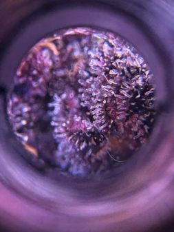 Review photo #7