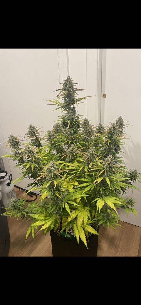 Review photo #1
