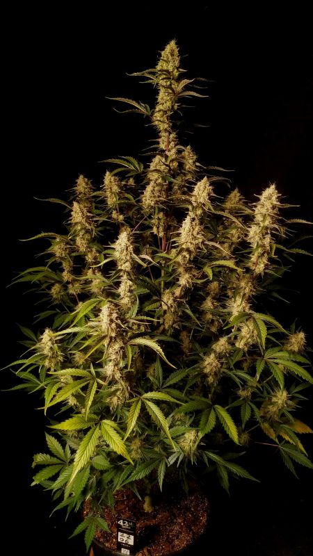 Review photo #5