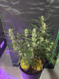 Review photo #3