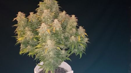Review photo #6