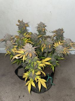 Review photo #5
