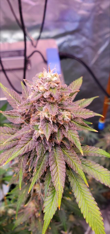 Review photo #10
