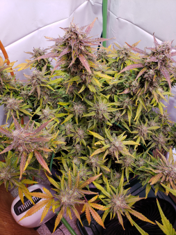Review photo #5
