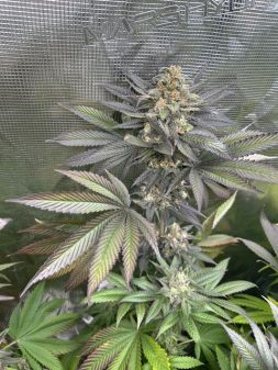 Review photo #6