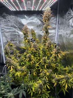 Review photo #2