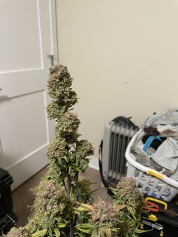 Review photo #5