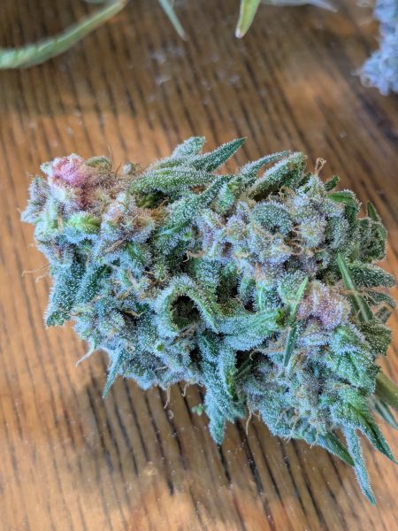 Review photo #3