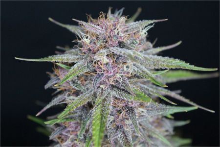 Review photo #3